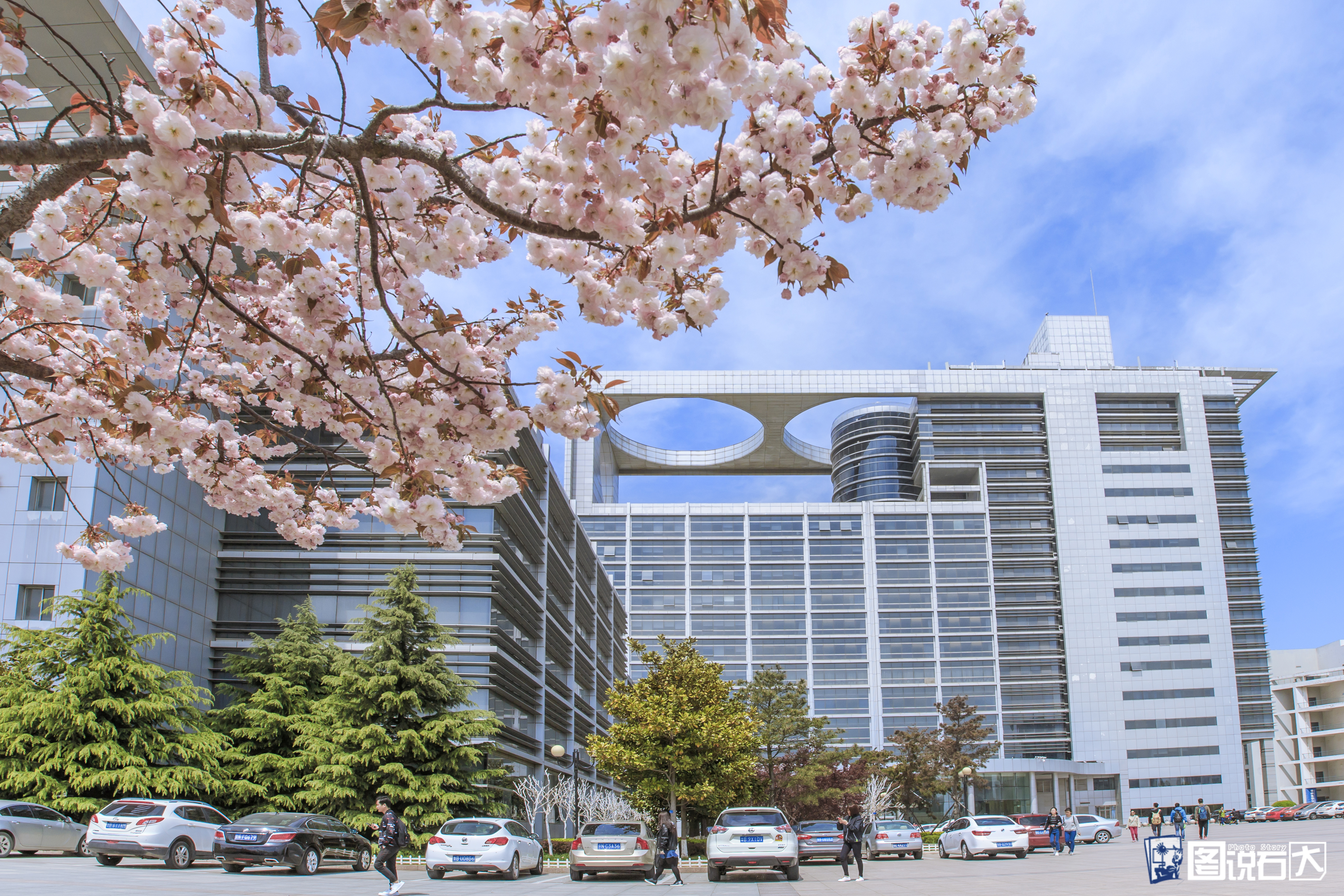 石河子大学 全景图图片